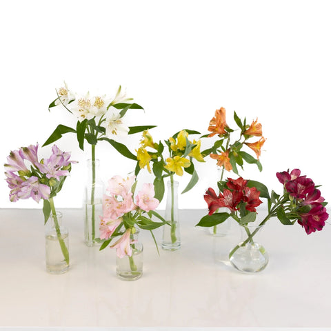 Choose Your Color Alstroemeria Stem - Image