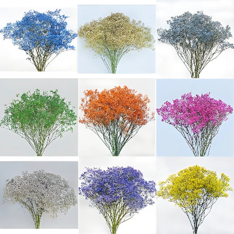 Choose Your Color Tinted Baby's Breath Flower