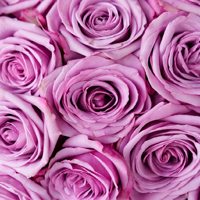 Choose Your Color Roses