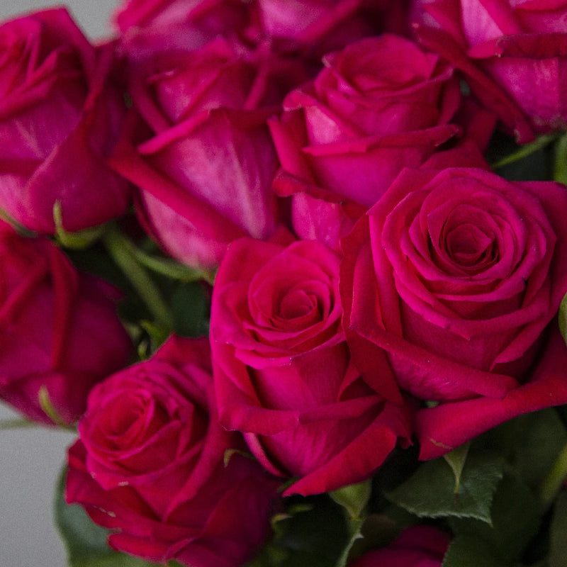 Choose Your Color Roses