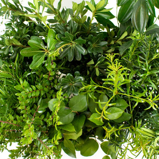 Choose Your Own Greenery DIY Flower Kit Up Close