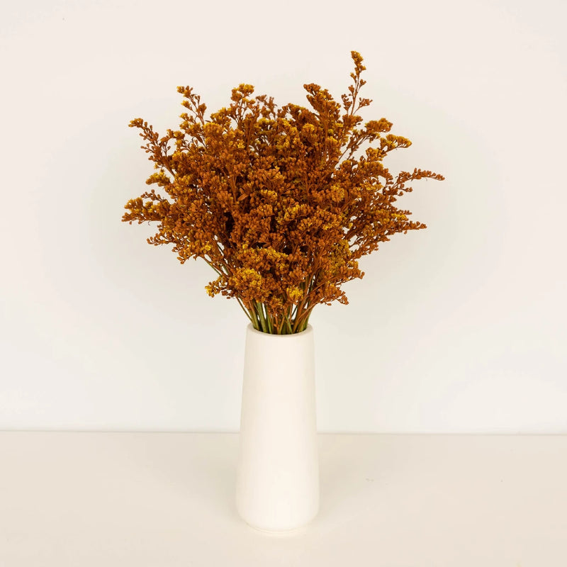 Cinnamon Bark Tinted Solidago Flowers Vase - Image