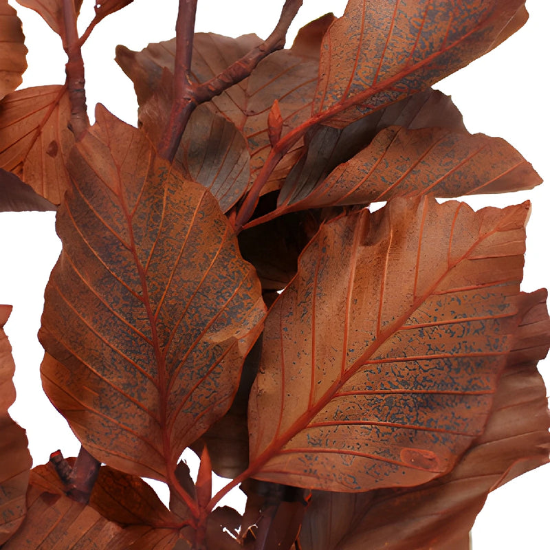 Wedding greenery copper beech bulk branches filler flowers sold near me