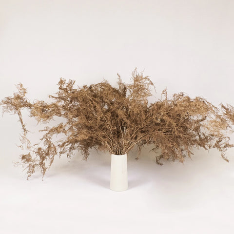 Asparagus Fern Coper Wholesale Greenery in a Vase