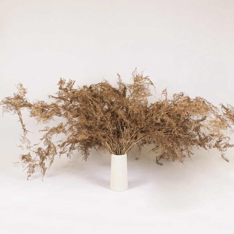 Asparagus Fern Coper Wholesale Greenery in a Vase