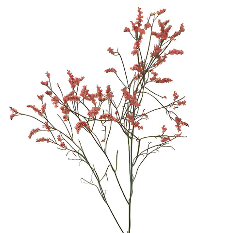 Coral Airbrushed Limonium Flowers