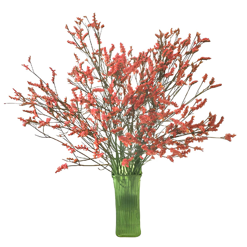 Coral Airbrushed Limonium Flowers