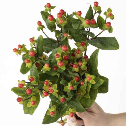 Cream and red hypericum berry wholesale wedding flowers