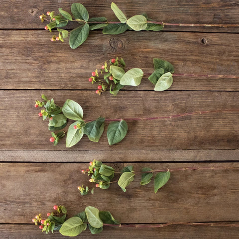 Cream and red hypericum berry bulk flowers