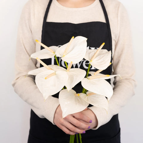 Polished Pearl Designer Anthurium Flower Apron - Image