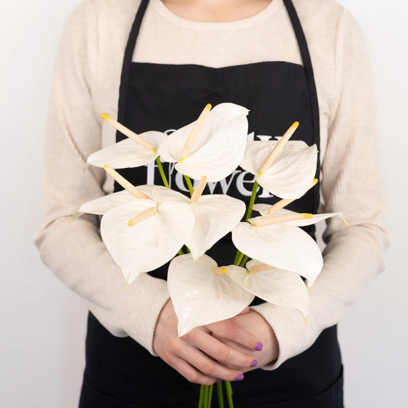Polished Pearl Designer Anthurium Flower Apron - Image