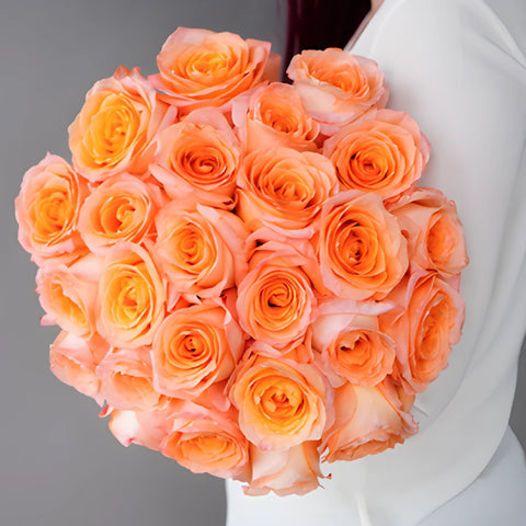 Coral Passion Rose