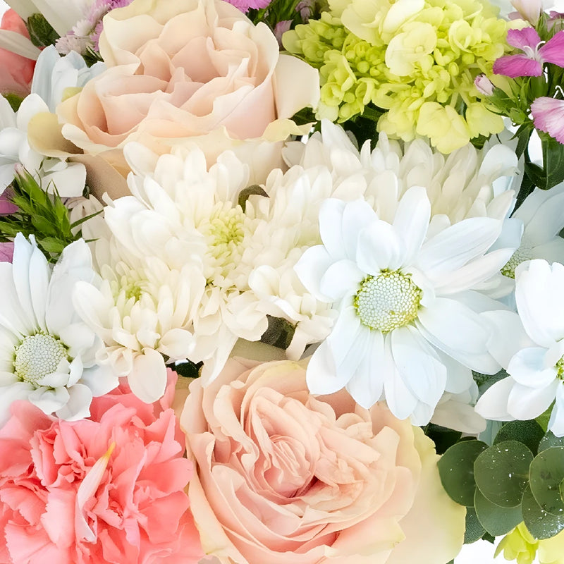 Cotton Candy Flower Bouquet Close Up - Image