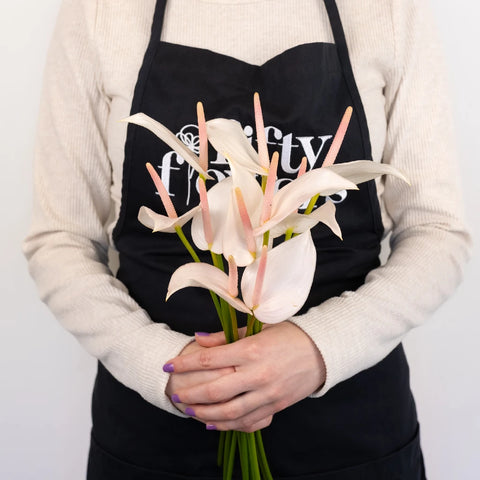 Parisian Mist Designer Anthurium Flower - Image