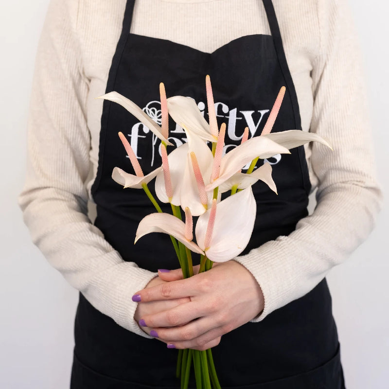 Parisian Mist Designer Anthurium Flower - Image