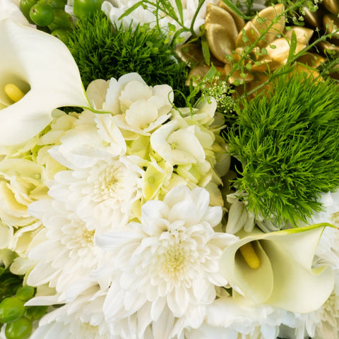New Beginnings Close Up - Image