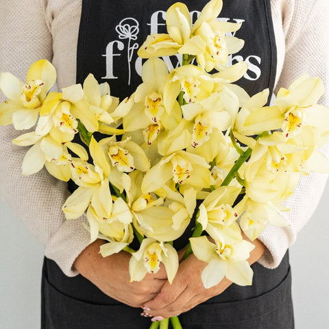 Mini Cymbidium Orchids Cream Delight Apron - Image