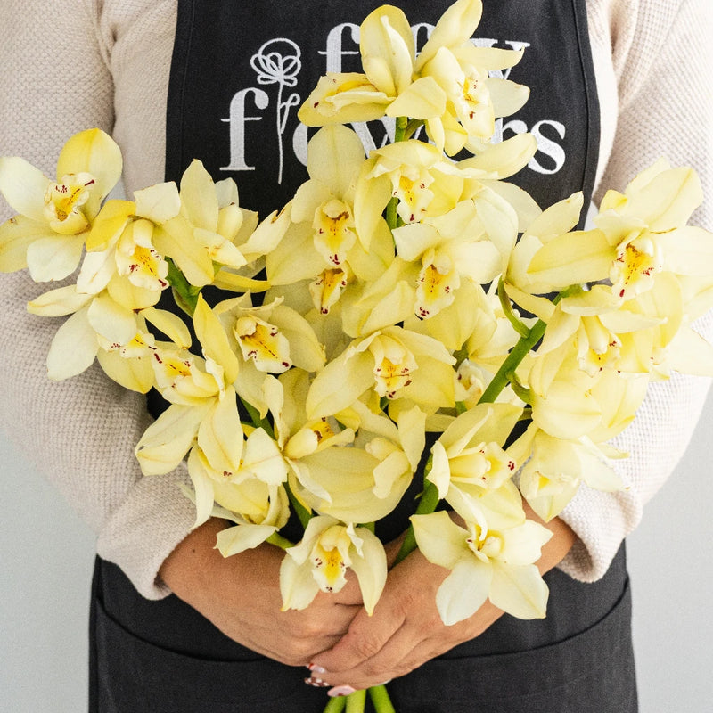 Mini Cymbidium Orchids Cream Delight Apron - Image