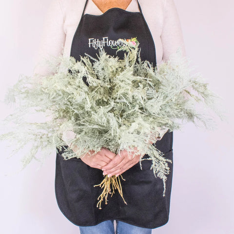 Asparagus Cream Wholesale Greenery Handheld