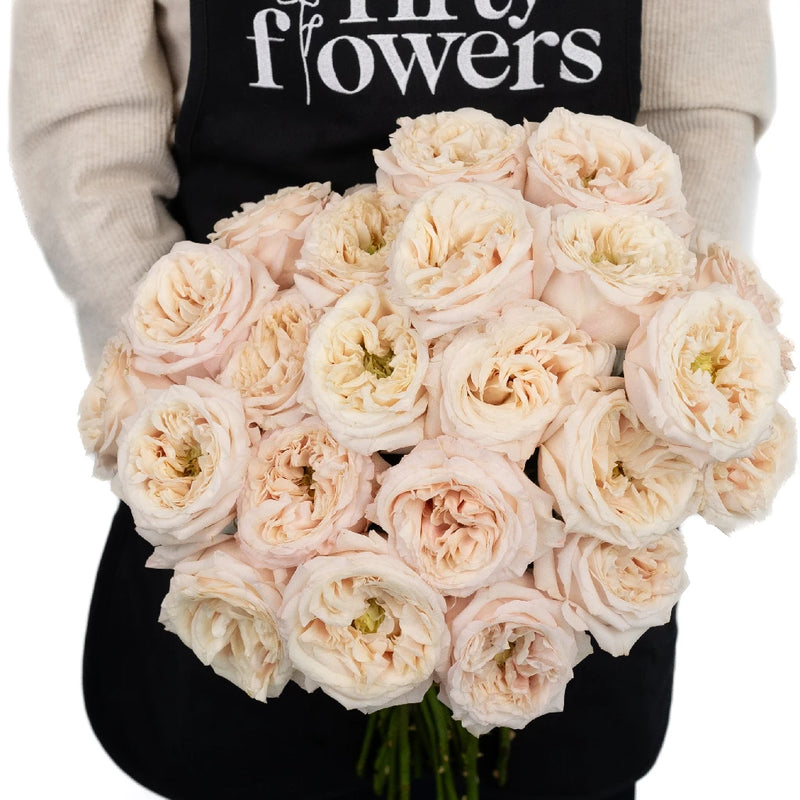 Peony Rose Cream Yves Piaget Apron - Image