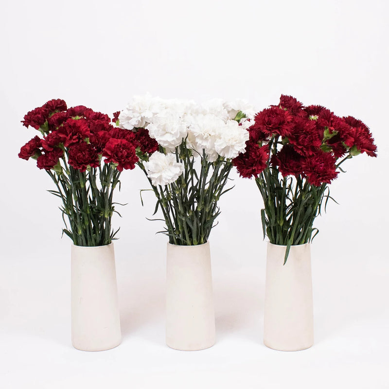 Red Burgundy White Flower Kit Recipe