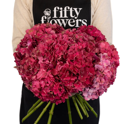 Crimson Hydrangeas Apron - Image