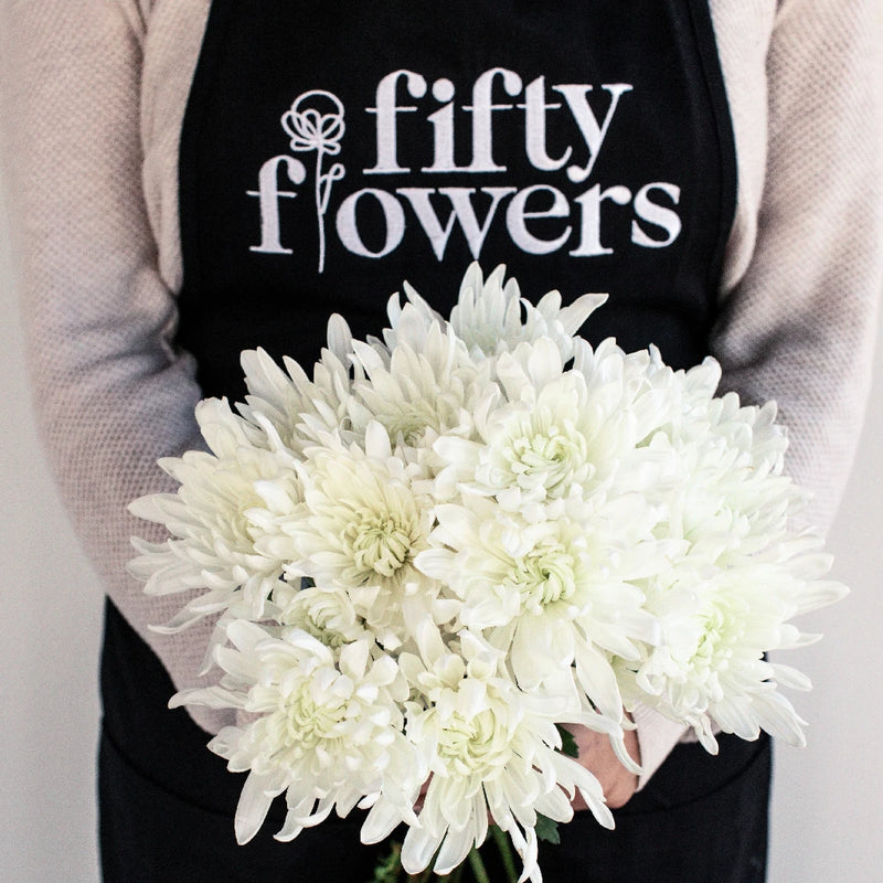 Daisy White Spray Dahlia Style Flower Apron - Image