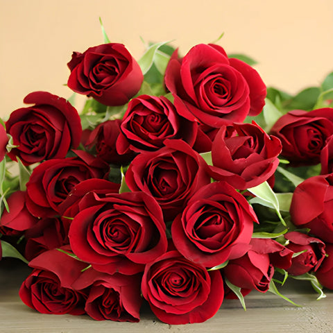 Dark Red Fresh Spray Roses