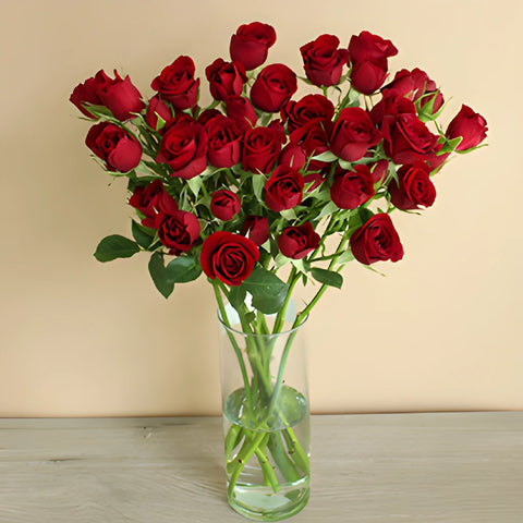 Dark Red Fresh Spray Roses