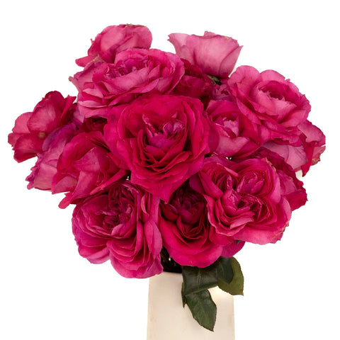 Shocking Pink Garden Rose Vase - Image