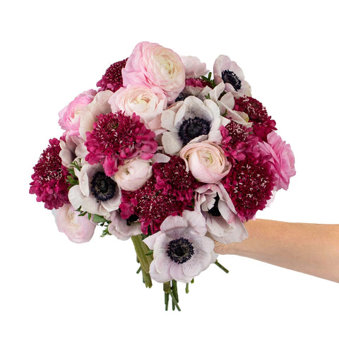 Delicate Multicolor DIY Flower Kit in Hand