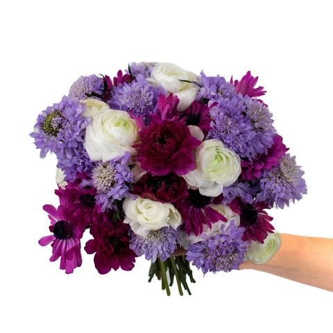 Delicate Multicolor DIY Flower Kit in Hand