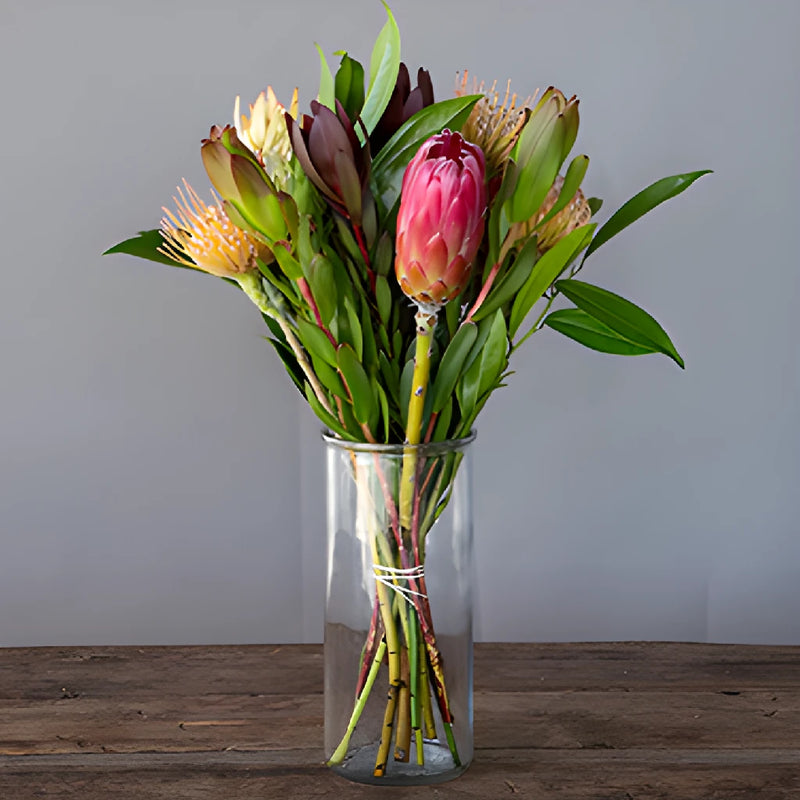 Spider Red Tropical DIY Flower Kit In a Vase