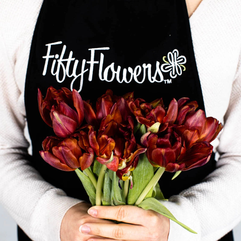 Red Double Tulip Flower Bunch in Hand