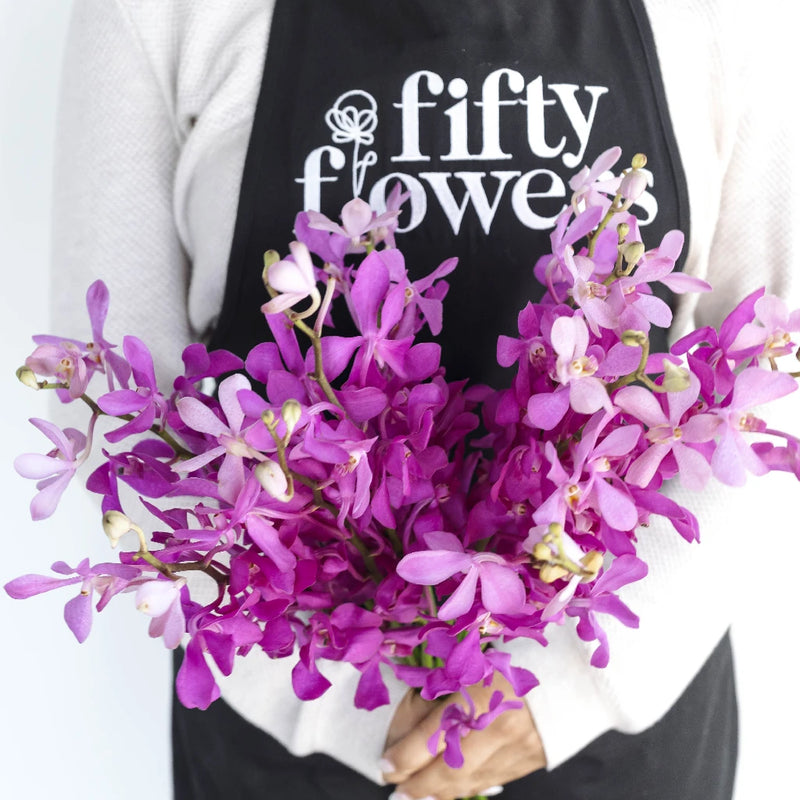 Dramatic Pink Mokara Orchid Apron - Image