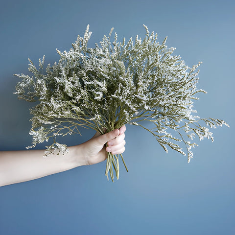 Dried German Statice