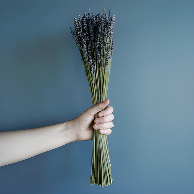 Dried Lavender Bulk Bunches