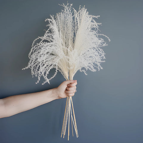 Dried Lavender Eulalia Grass