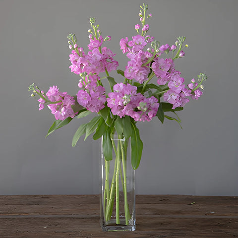 El Aleli Light Pink Stock Wholesale Flower In a vase