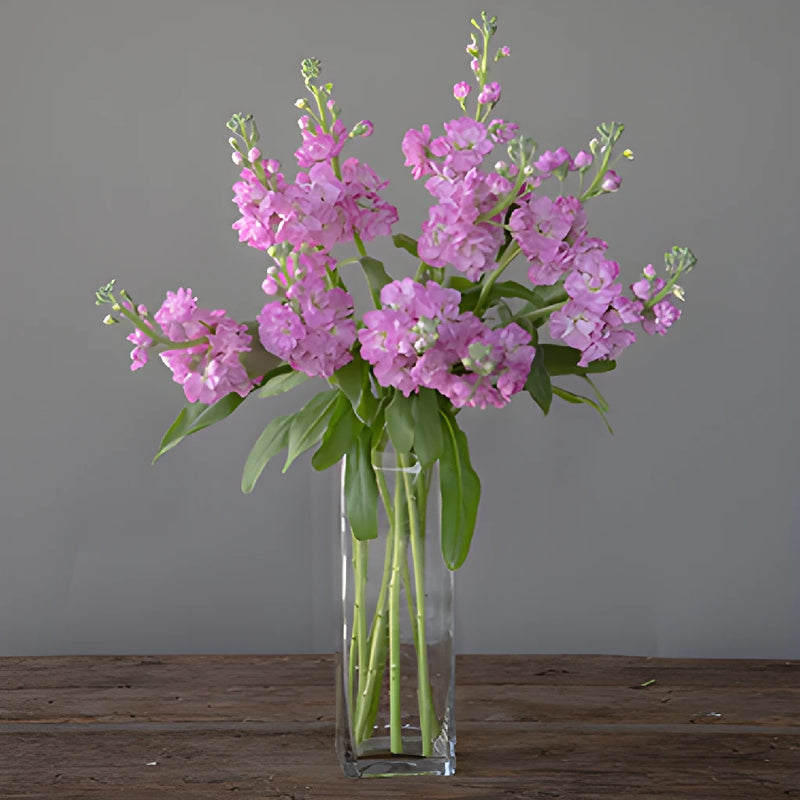El Aleli Light Pink Stock Wholesale Flower In a vase