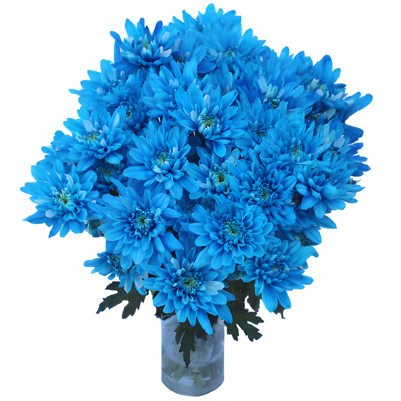 Electric Blue Tinted Flowers