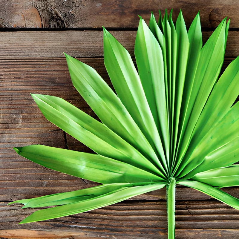 Emerald Green Dried Sun Palm