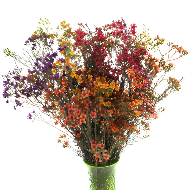 Rainbow Mix Tinted Wax Flowers