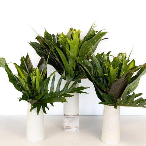 Exotic Jungle Colorful Greenery Centerpiece Close Up - Image
