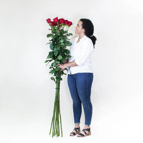 Tall Freedom Red Rose Bunch