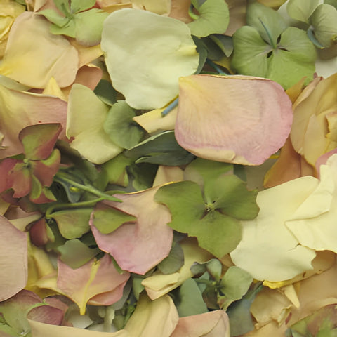 Fairytale Wedding Dried Rose Petals