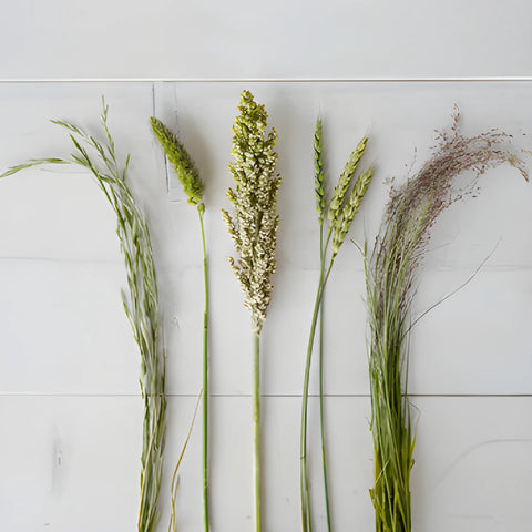 Wedding greenery fall grass medley fresh cut filler flowers sold near me