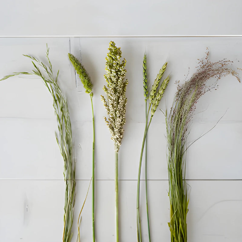Wedding greenery fall grass medley fresh cut filler flowers sold near me