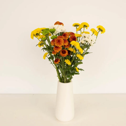 Fall Mini Button Pom Assorted Colors Flower Vase - Image