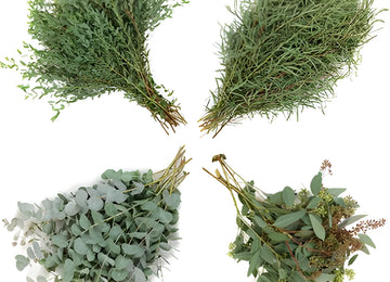 Eucalyptus Assortment Wholesale Greenery